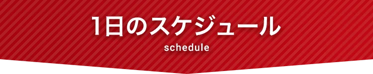 1日のスケジュール
